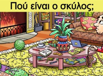 Βρες τον κρυμμένο σκύλο: 18 τεστ παρατηρητικότητας που σχεδόν κανείς δεν λύνει χωρίς βοήθεια