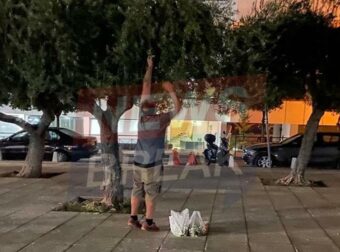 Πολίτες βγήκαν στο κέντρο της Αθήνας να μαζέψουν ελιές – Εκτοξεύτηκε η τιμή του ελαιολάδου