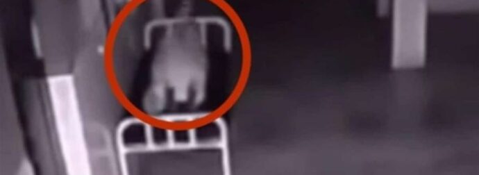 Γιαγιά πέθανε στο νοσοκομείο – Αυτό που κατέγραψε η κρυφή κάμερα θα σας ανατριχιάσει κυριολεκτικά!