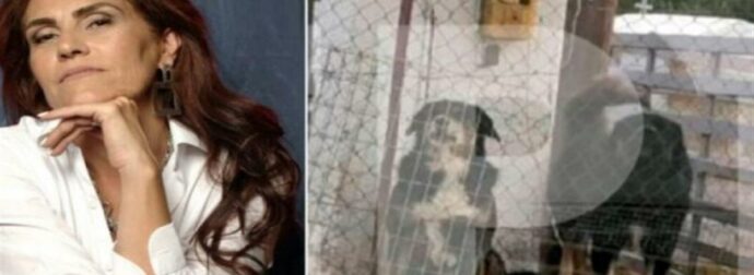 «Τελικά ο βλαμμένος έμενε δίπλα σου! Μου έλεγες “Πρόσεχε!”» – “Ραγίζει” καρδιές το σημείωμα στην κηδεία της 50χρονης που κατασπαράχτηκε από σκυλιά (photo-video)