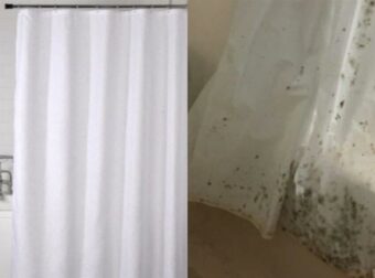 Μούχλα στην κουρτίνα του μπάνιου: Μην την πετάξετε! Αυτό είναι το καθαριστικό κόλπο για να εξαφανίσετε κάθε υπόλειμμα γρήγορα και απλά