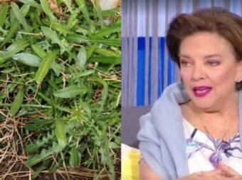 Μάρα Μεϊμαρίδη: «Είχα ξαναγεννηθεί ως χόρτο σε άλλη ζωή – Είναι σπάνιο να ξαναγίνεις άνθρωπος»