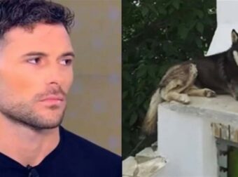 Σε απόγνωση ο Παναγιώτης Κωνσταντινίδης: «Με κατηγορούν για την κακοποίηση του Όλιβερ – Μου εύχονται να αρρωστήσω»