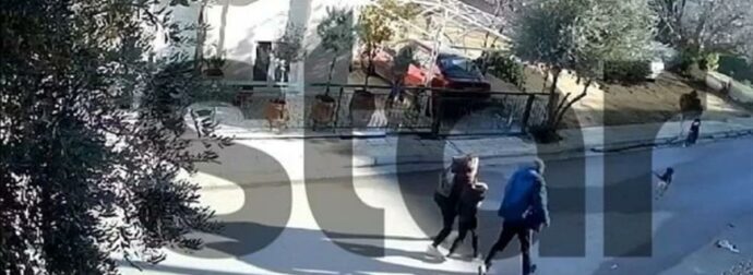Βίντεο ντοκουμέντο: Η στιγμή της άγριας επίθεσης του σκύλου στο 9χρονο αγόρι στο Καματερό – Προκάλεσε δυο βαθιές πληγές στο παιδί