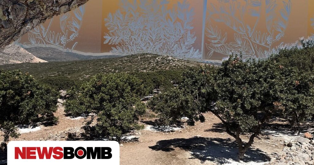 Το Newsbomb στα Μαστιχοχώρια της Χίου: Εκεί όπου ο σχίνος γίνεται «χρυσάφι»